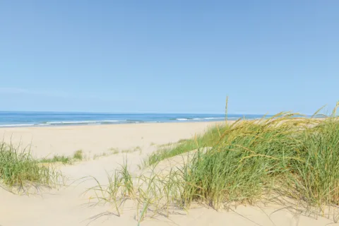 Strand huisstijl 2021 6606845a75c24